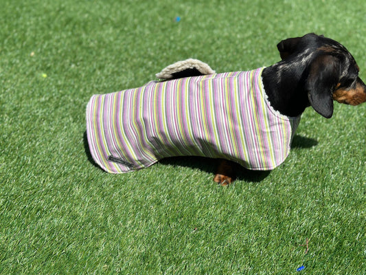 Water resistant dog coat, waterproof dog coat, shower proof dog coat ,pet lover, pet accessories,dachshund dog coat