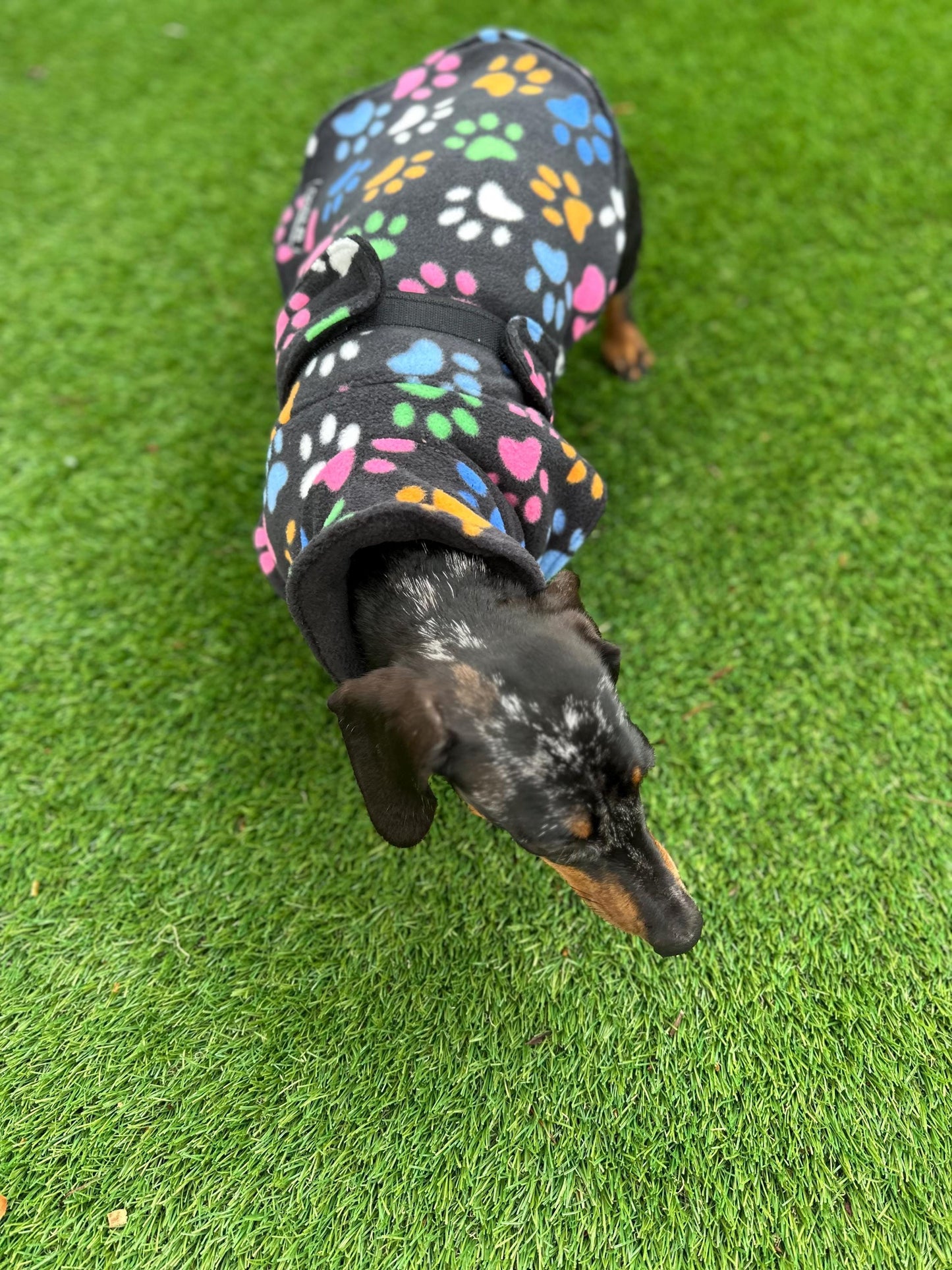 Fleece Dachshund Coat: Water Repellent Dog Jumper, Custom Fit