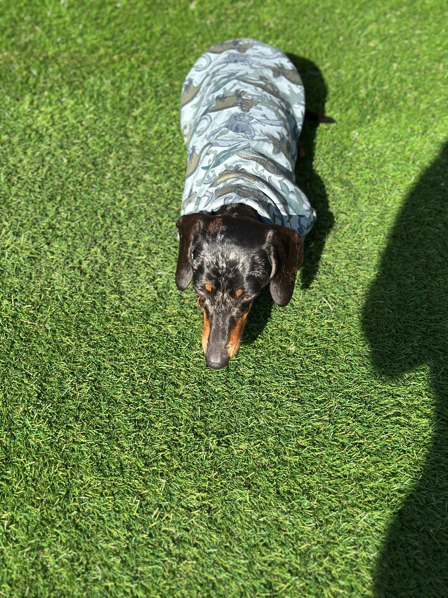 Dachshund dino  top,Daxie jumper,dachshund jumper ,dachshund  jersey jumper,washable dog jumper, dachshund tank top