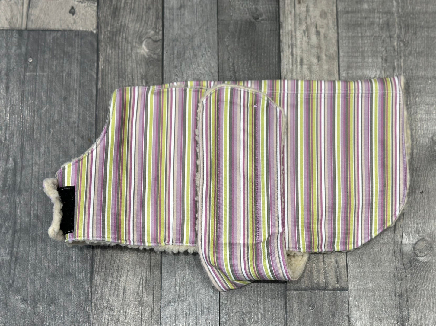 Water resistant dog coat, waterproof dog coat, shower proof dog coat ,pet lover, pet accessories,dachshund dog coat