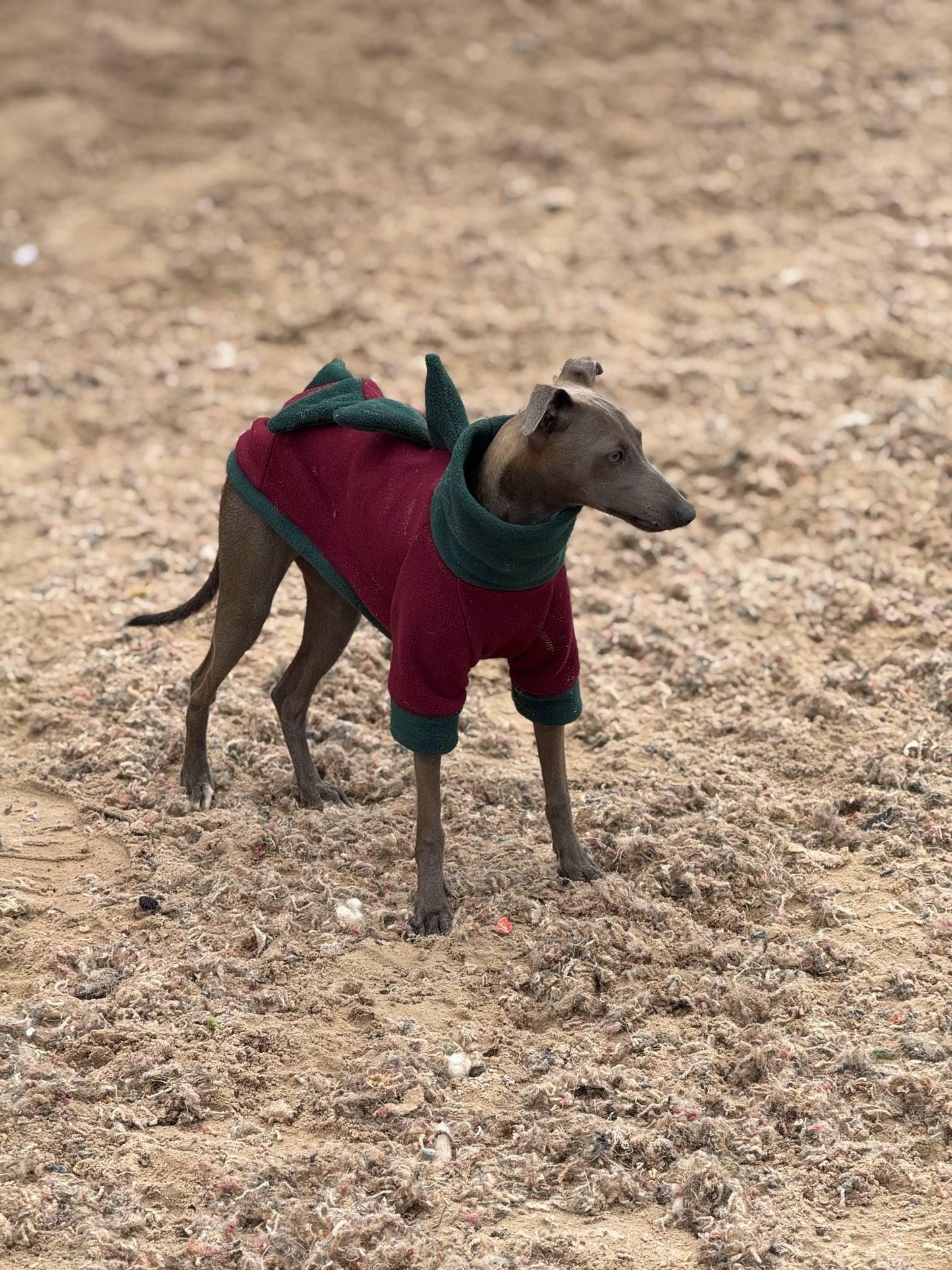 Italian greyhound dino legged Fleece jumper ,fleece jumper ,breathable dog jumper, dog jacket,,Water & Mud Repellent dog suit