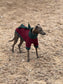 Italian greyhound dino legged Fleece jumper ,fleece jumper ,breathable dog jumper, dog jacket,,Water & Mud Repellent dog suit