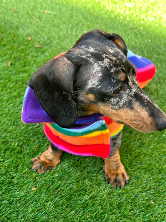 Dachshund Fleece Dog Coat: Double Layered, Water Repellent