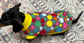 Personalized Dachshund Fleece Jumper: Water & Mud Repellent Dog Coat