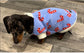 Dachshund Christmas jumper ,dog jumper ,breathable dog jumper, dog jacket,washable dog jumper,Water & Mud Repellent dog suit