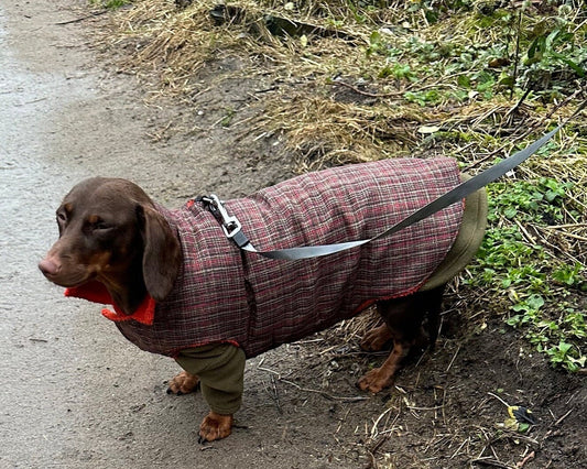 Dachshund waterproof dog coat, shower proof dog coat ,winter dog coat ,small dog coat