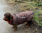 Dachshund waterproof dog coat, shower proof dog coat ,winter dog coat ,small dog coat