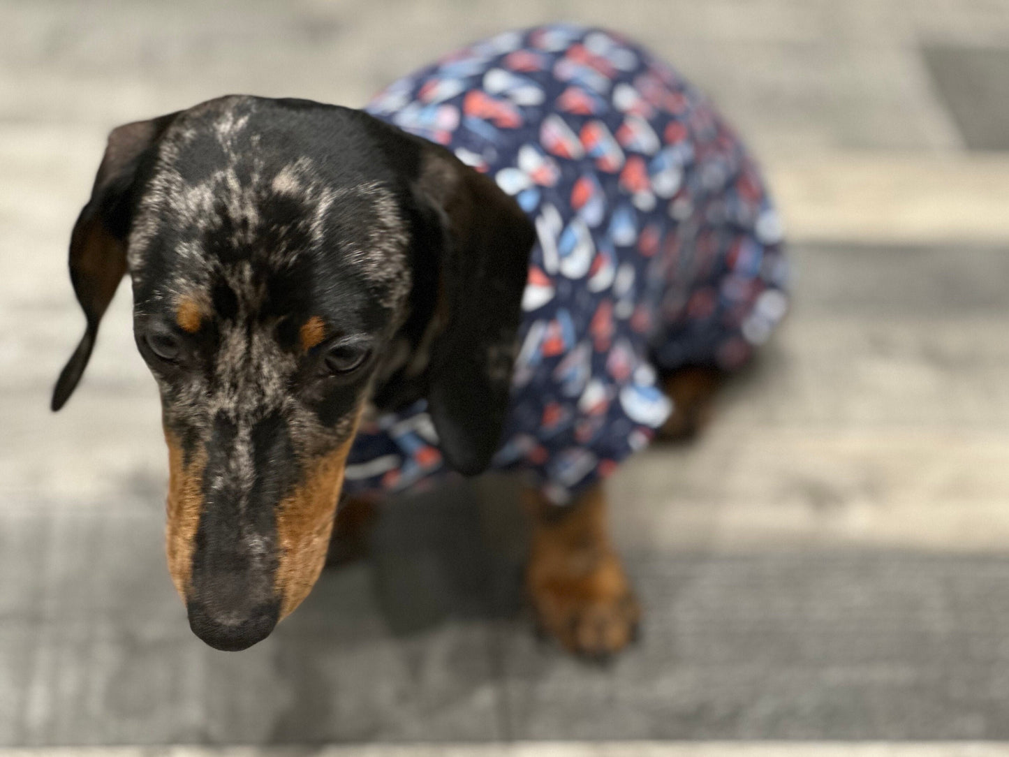 Dachshund Nautical Print Jersey: Washable Dog Jumper