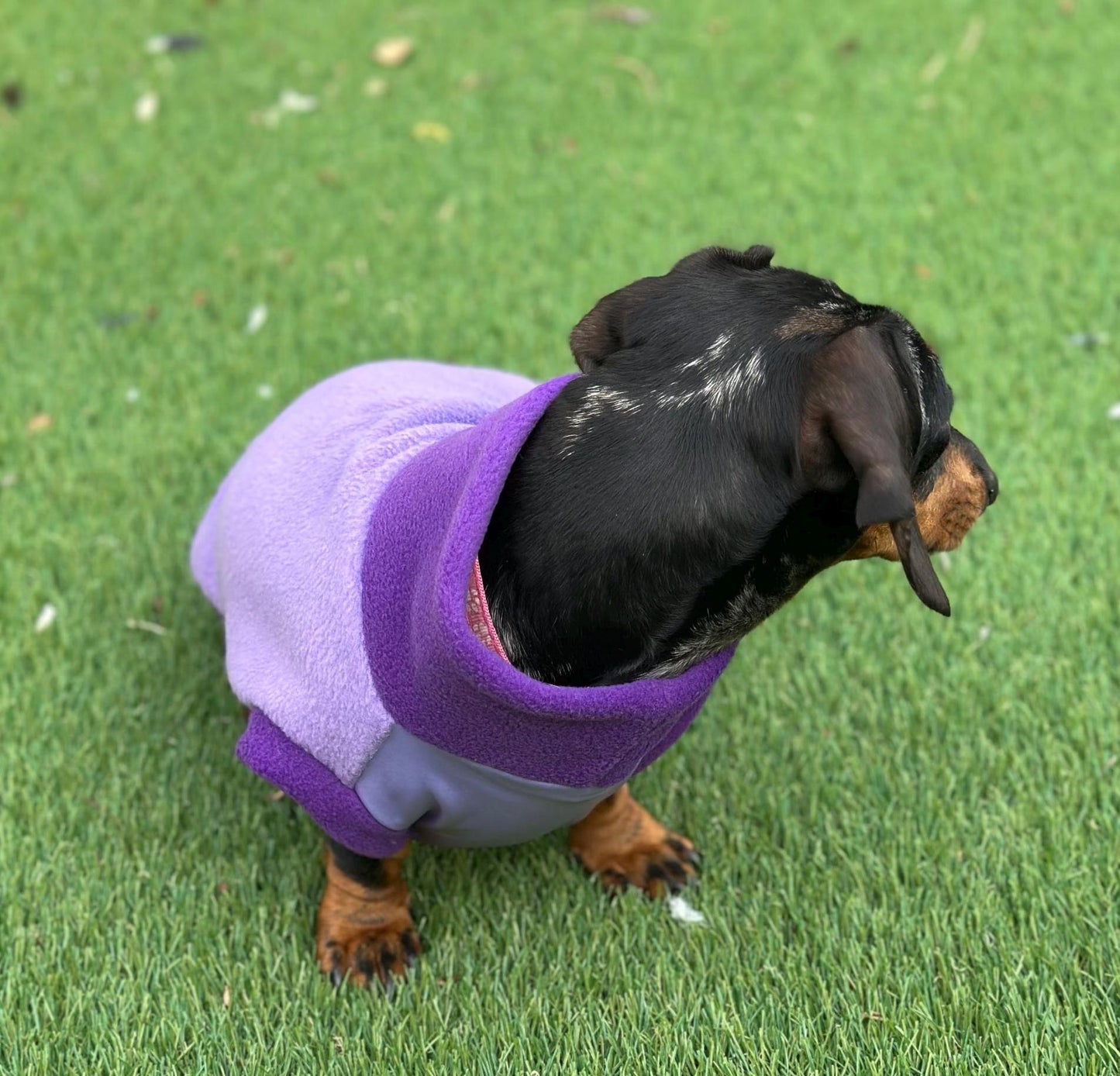 Waterproof Dachshund Fleece Jumper: Eco-Friendly Dog Suit