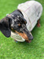 Water resistant dog coat, waterproof dog coat, shower proof dog coat ,pet lover, pet accessories,dachshund dog coat