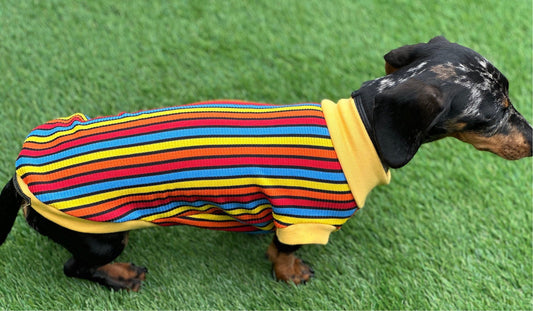 Striped Rib Jersey Dachshund Jumper: Washable Dog T-Shirt