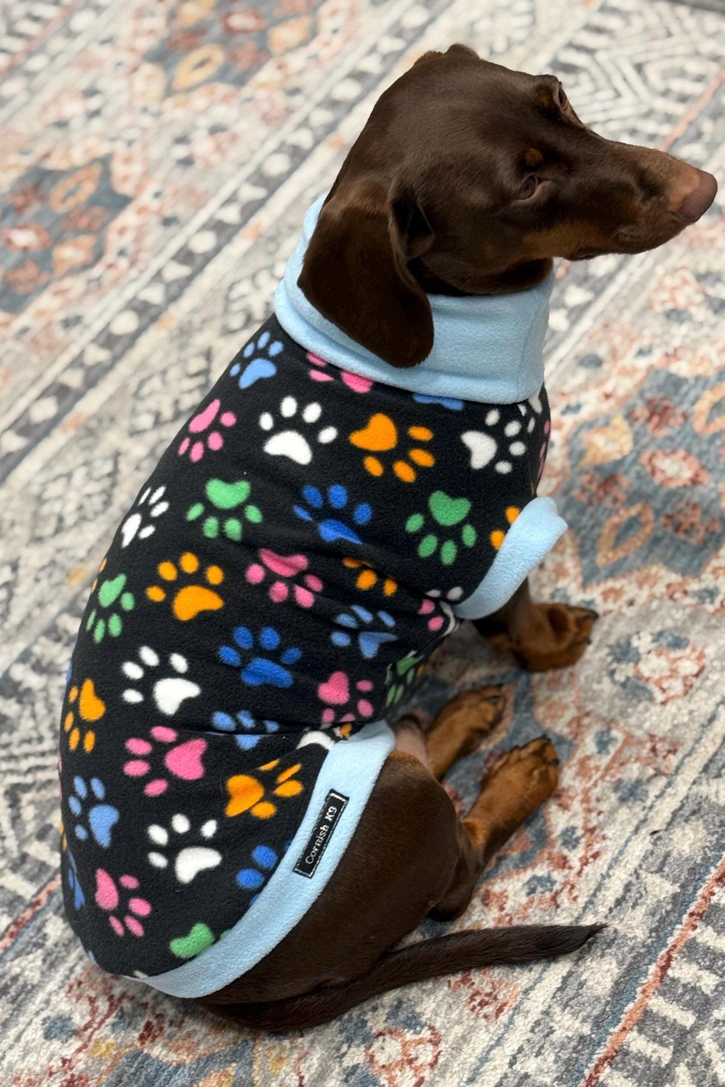 Personalized Dachshund Fleece Jumper: Water Repellent Dog Coat