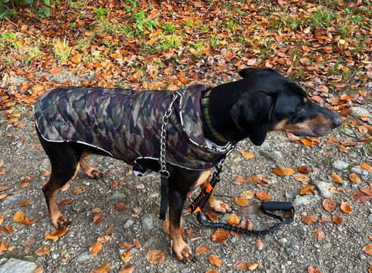 Waterproof Quilted Dog Coat: Fleece Lined Winter Jacket