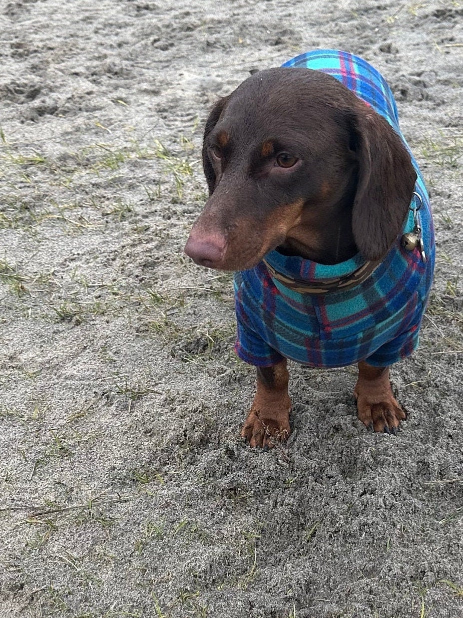 Tartan Fleece Dachshund Onesie: Water Repellent Dog Jumpsuit