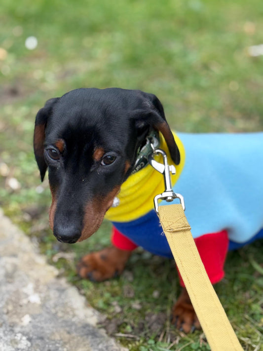 Miniature Dachshund Fleece Onesie: Water Repellent Dog Jumpsuit