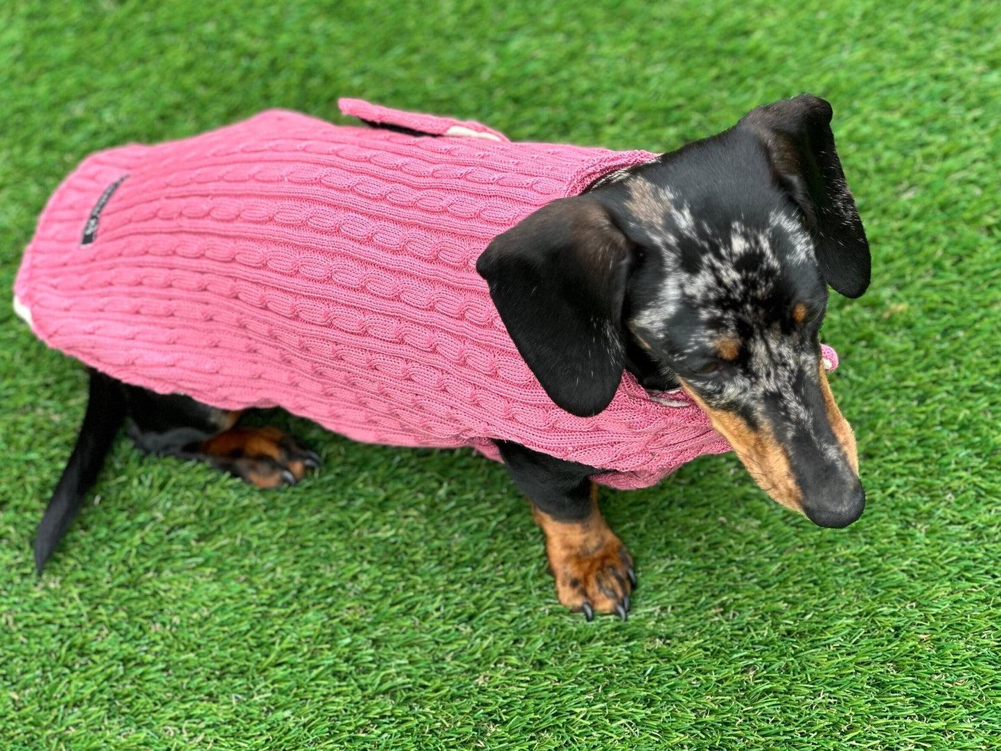 Cable Knit Dachshund Coat: Fleece Lined Dog Jacket