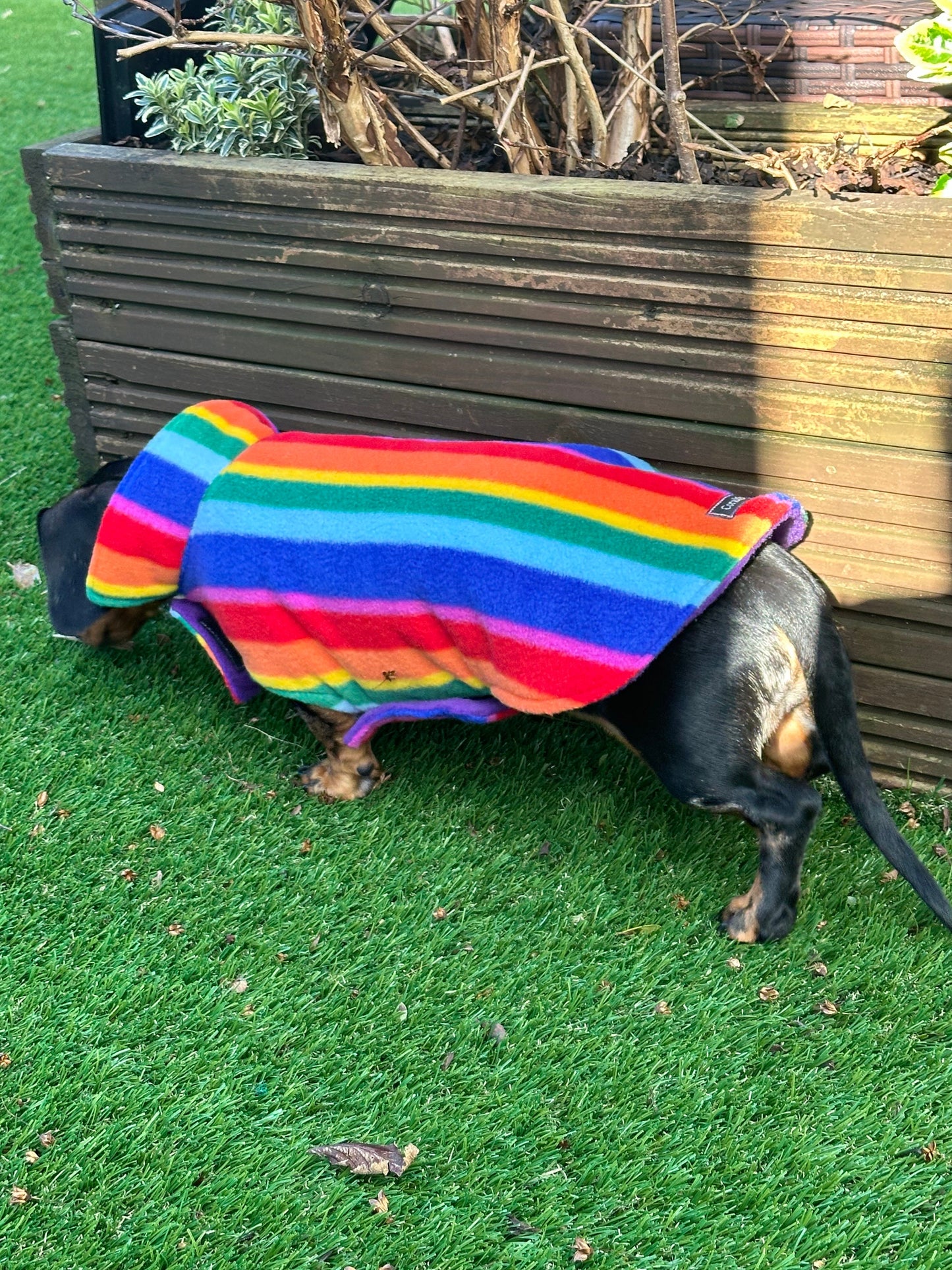 Dachshund Fleece Dog Coat: Double Layered, Water Repellent