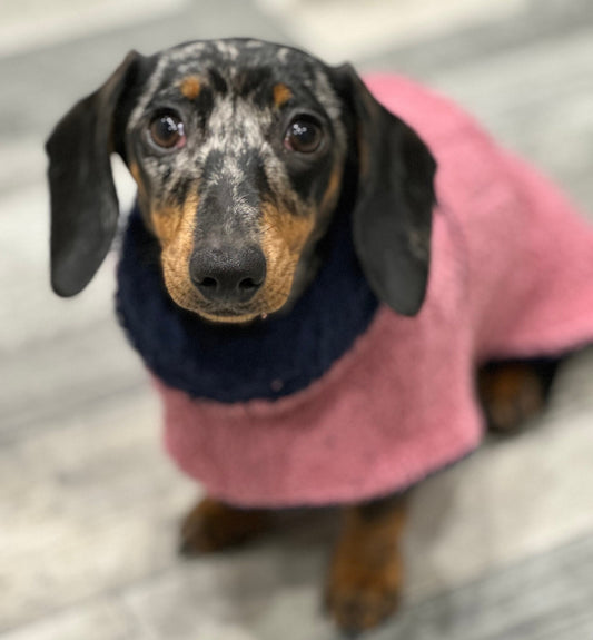Double Layered Dog Drying Robe: Absorbent Cotton Terry Towelling