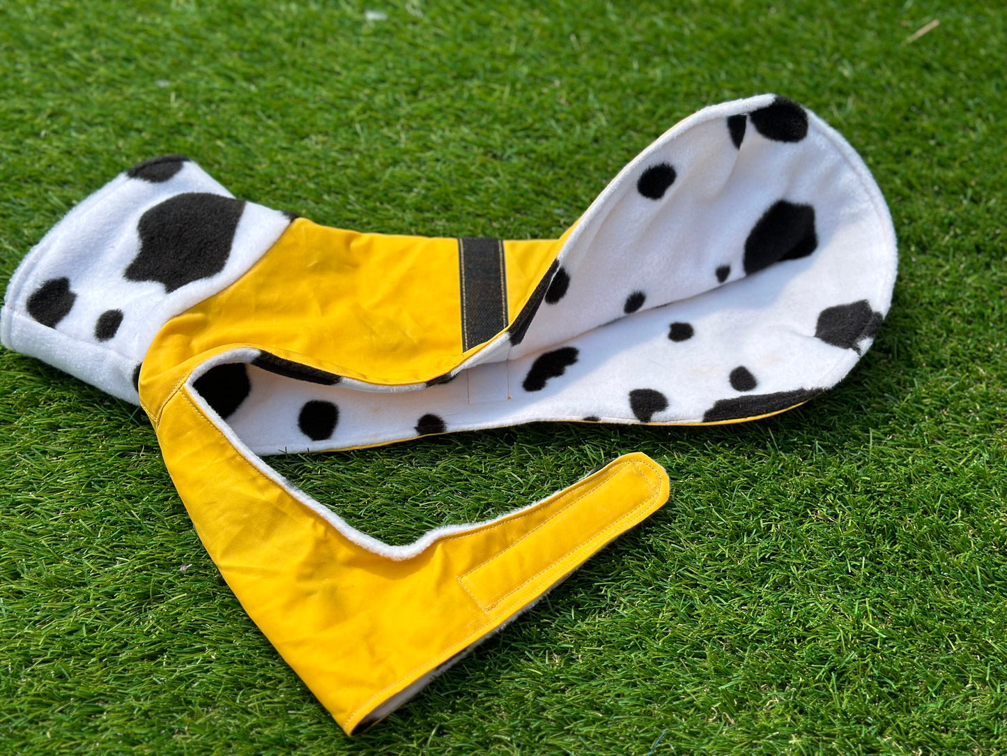 Dachshund Dry wax  dog coat,dog coat ,winter dog coat , dachshund coat ,belly covering dog coat,waterproof dachshund coat