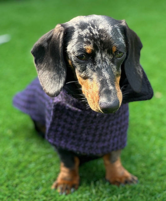 Harris Tweed Dachshund Coat: Fleece Lined Wool Dog Jacket