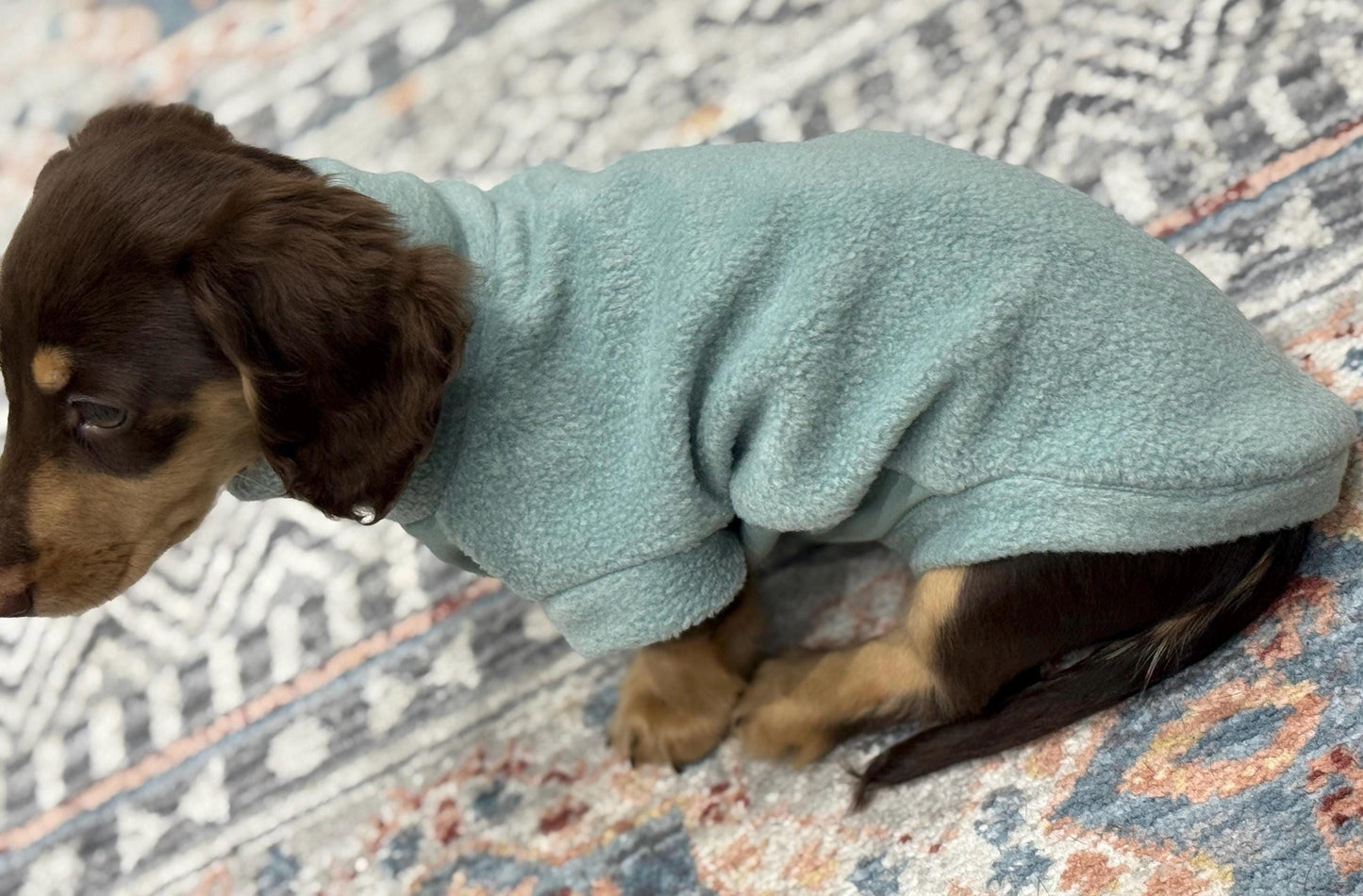 Waterproof Dachshund Fleece Jacket: Mud Repellent Soft Shell Tummy