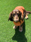 Waterproof Dachshund Winter Coat: Fleece Lined, Harness Hole