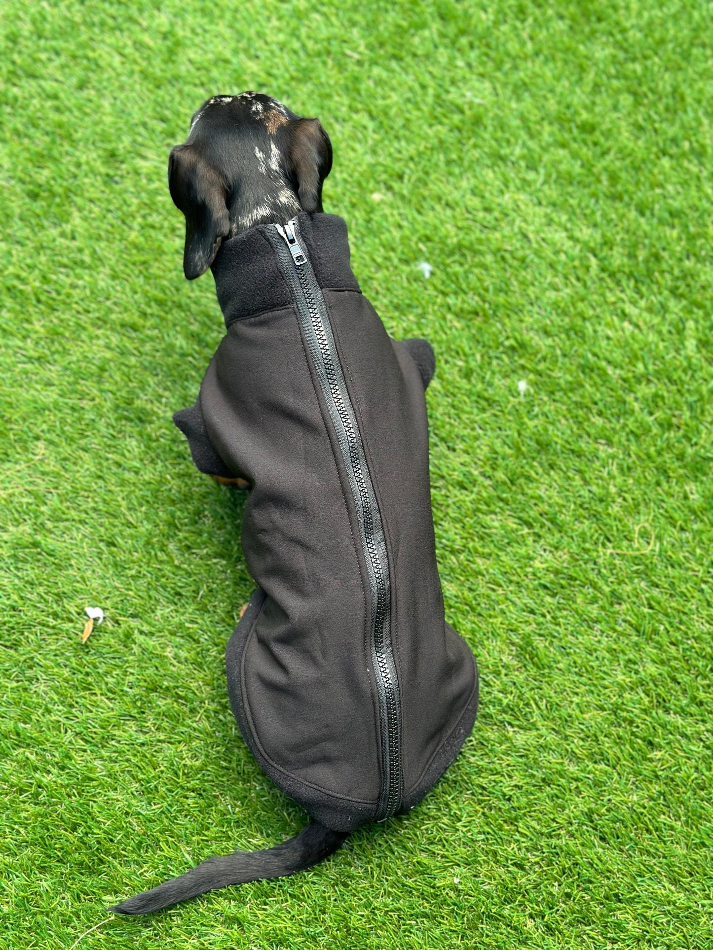 Dachshund Softshell zipped waterproof  jacket ,water repellent  jumper ,step in dog coat,   ,washable dog jacket, Mud Repellent