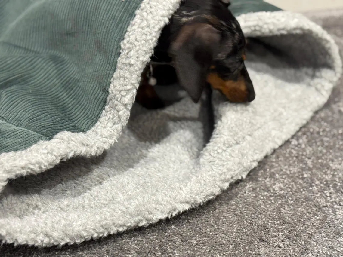 Padded Corduroy Dog Snuggle Sack: Sherpa Fleece Lined