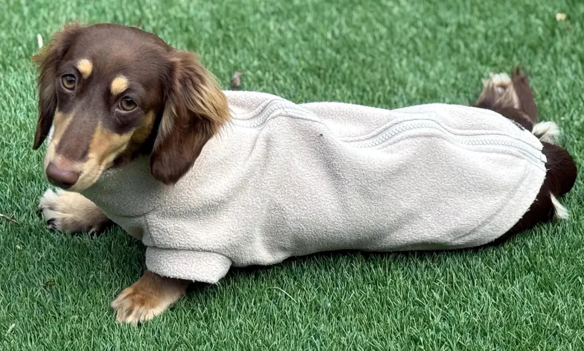 Dachshund Fleece Dog Jumper: Water & Mud Repellent, Zipped Tankie.