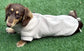 Dachshund Fleece Dog Jumper: Water & Mud Repellent, Zipped Tankie.