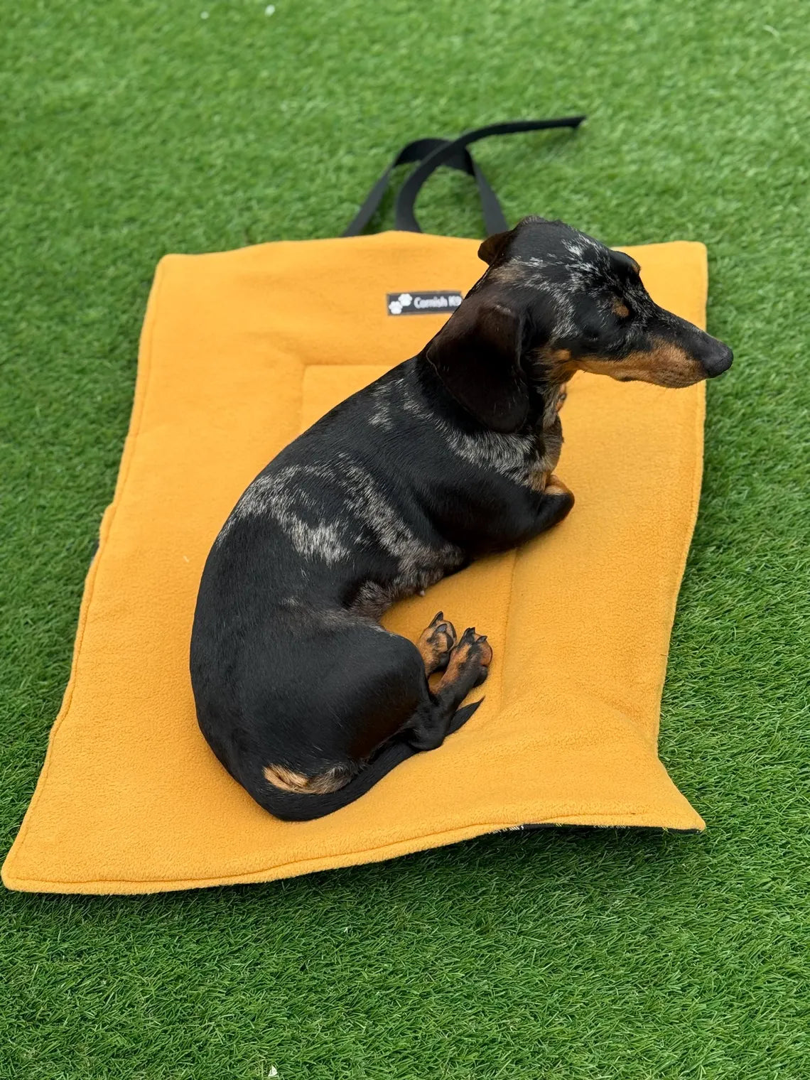 Tartan Quilted Dog Travel Mat: Reversible Fleece Picnic Pad.