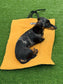 Tartan Quilted Dog Travel Mat: Reversible Fleece Picnic Pad.