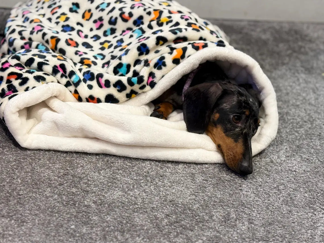 Fleece Dog Snuggle Sack: Padded Cuddle Bed