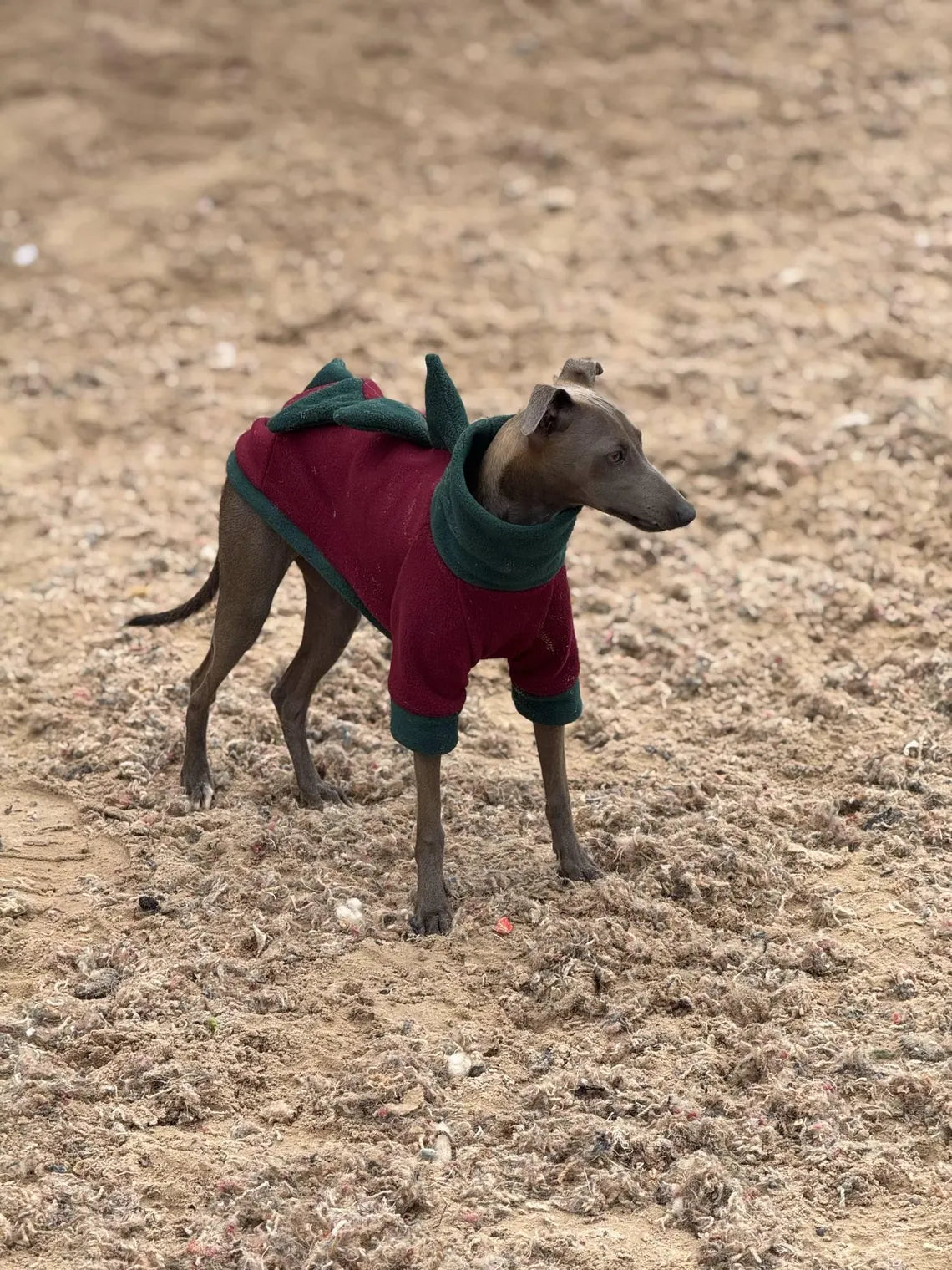 Italian Greyhound Fleece Jumper: Dino Leg, Water & Mud Repellent.