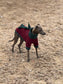 Italian Greyhound Fleece Jumper: Dino Leg, Water & Mud Repellent.