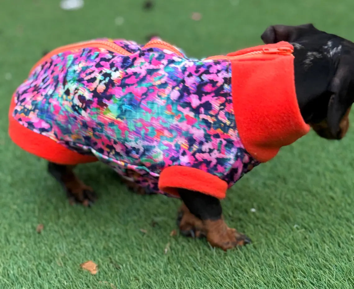 Dachshund Print Softshell Fleece Dog Jacket: Waterproof Jumper.