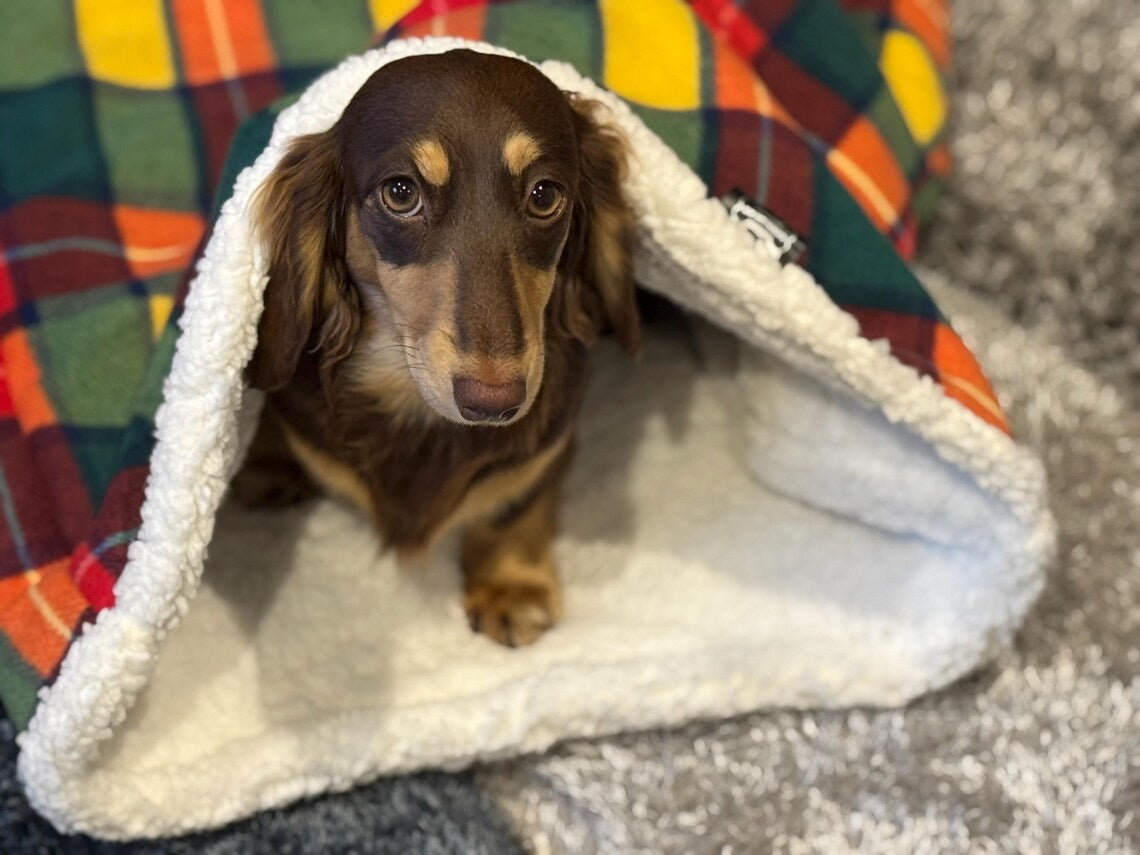 Padded Polar Fleece Dog Snuggle Sack: Dachshund Burrow Bed.