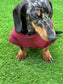 Waterproof Softshell Dachshund Fleece Jumper: Zipped Warm Dog Coat