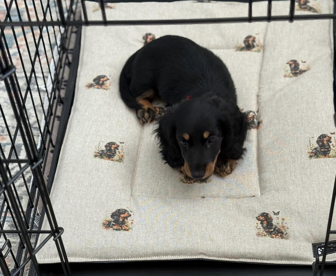 Dog Travel Roll Mat: Cotton Canvas, Waterproof Base.