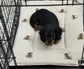 Dog Travel Roll Mat: Cotton Canvas, Waterproof Base.