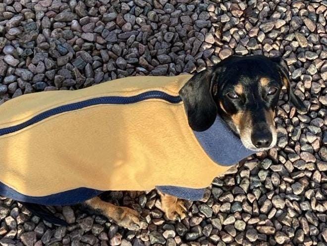 Dachshund zipped Fleece jumper ,dachshund  tankies, dog jumper, dog fleece ,washable dog jumper,ivdd jumper,dachshund fleece