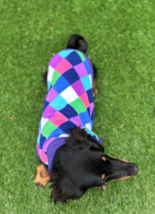 Dachshund Fleece Dog Jumper: Water & Mud Repellent, Breathable, Multi-Colored