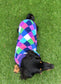 Dachshund Fleece Dog Jumper: Water & Mud Repellent, Breathable, Multi-Colored