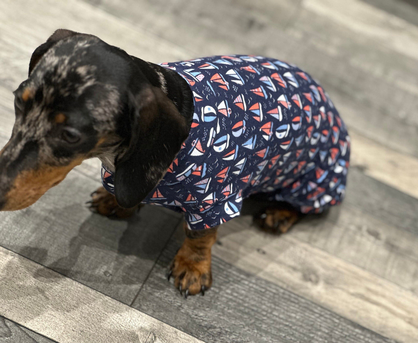 Dachshund Nautical Print Jersey: Washable Dog Jumper