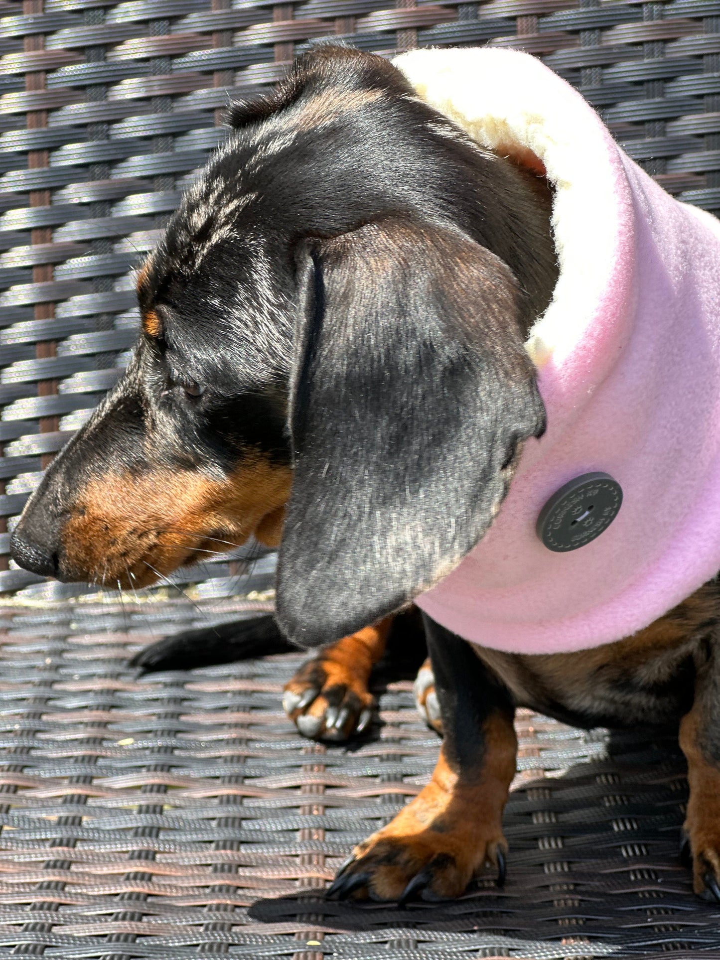Dachshund Fleece Snood: Sherpa Lined Dog Neck Warmer
