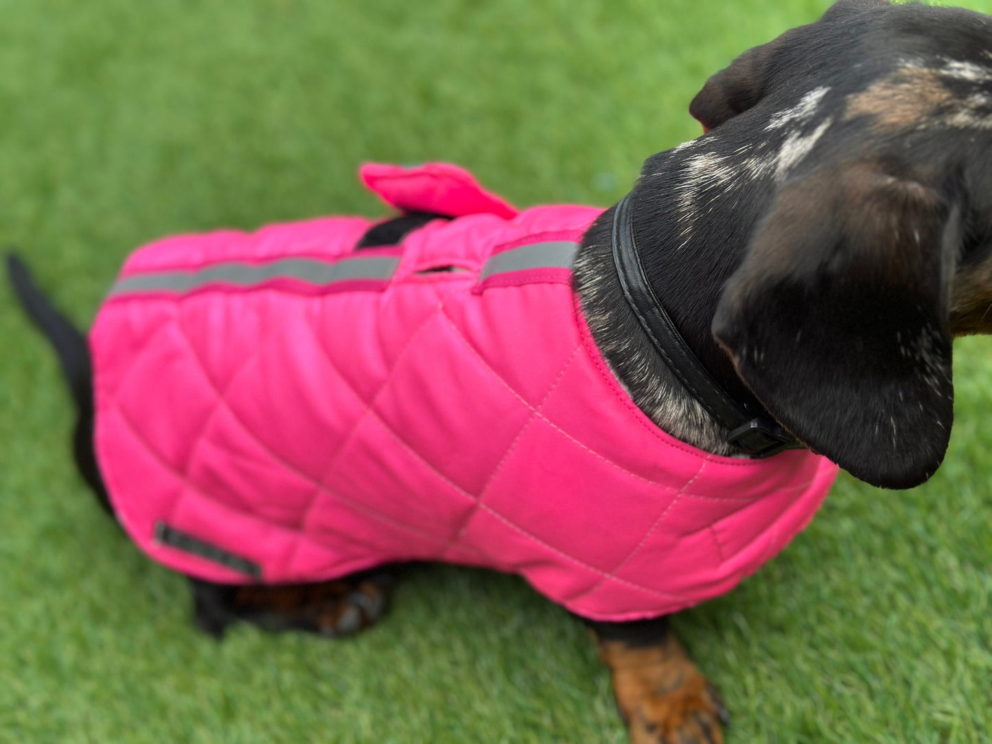 Flo Pink Quilted Dachshund Dog Coat: Waterproof Winter Jacket
