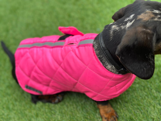 Flo Pink Quilted Dachshund Dog Coat: Waterproof Winter Jacket