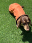 Waterproof Dachshund Winter Coat: Fleece Lined, Harness Hole