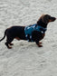 Waterproof Dachshund Harness: Fleece Lined, No-Rub Design