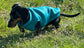 Dachshund Neoprene Dog Jumper: Stretchy, Insulated, Open-Neck